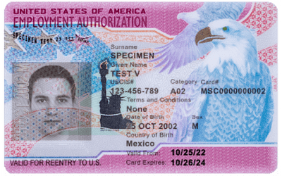 EAD Employment Authorization Document to work in the USA