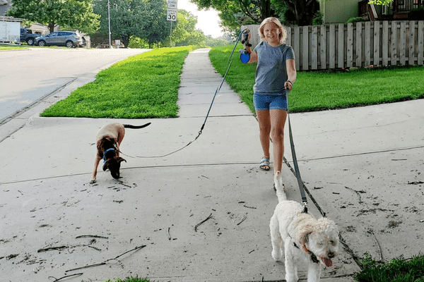 Dogwalking in the neighborhood in Kansas City