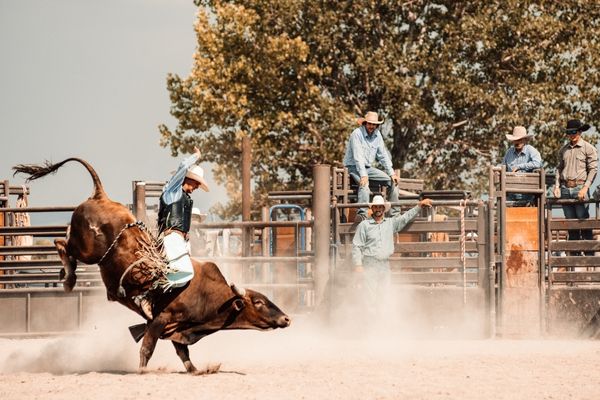 Rodeo in Texas