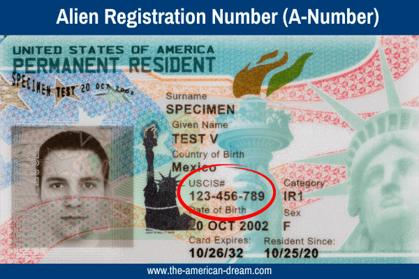 Green Card with Alien Registration Number