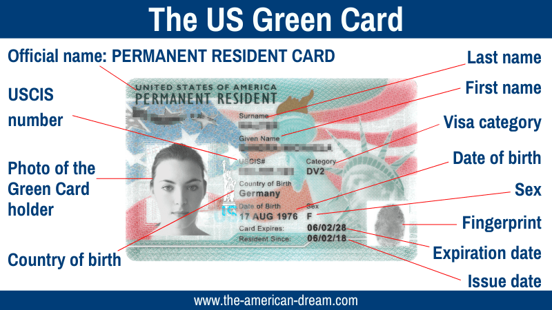 Explanation of all Green Card elements in an infographic