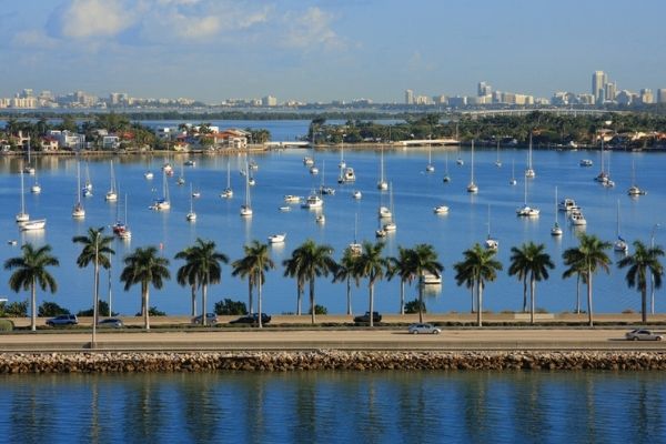 Boats and palm trees off Miami